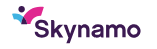 Skynamo - Mobile Sales App